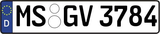 MS-GV3784