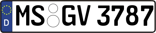 MS-GV3787