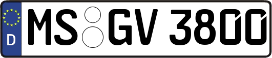 MS-GV3800