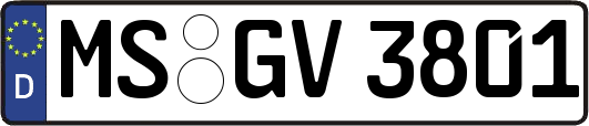MS-GV3801