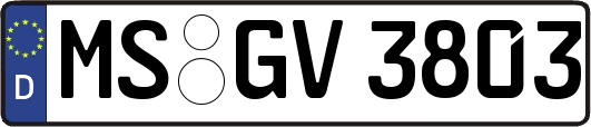 MS-GV3803