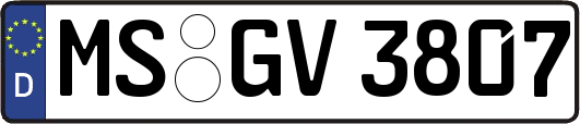 MS-GV3807
