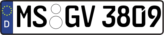 MS-GV3809