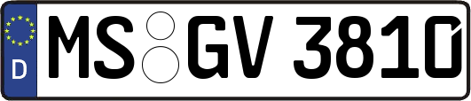 MS-GV3810