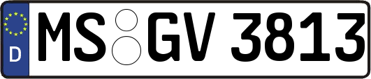 MS-GV3813