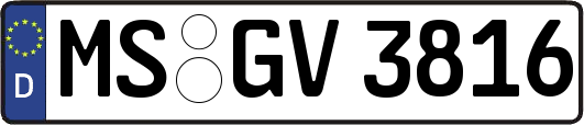 MS-GV3816