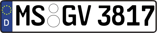 MS-GV3817