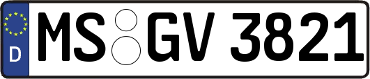 MS-GV3821