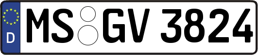 MS-GV3824