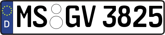 MS-GV3825