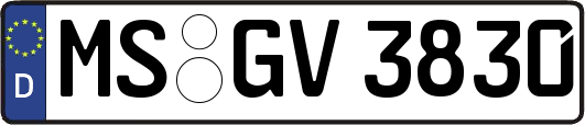 MS-GV3830