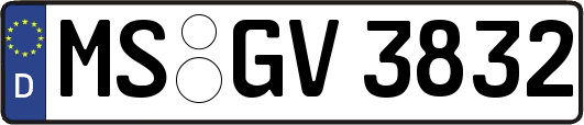 MS-GV3832