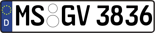 MS-GV3836