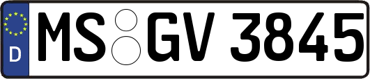 MS-GV3845