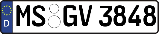 MS-GV3848