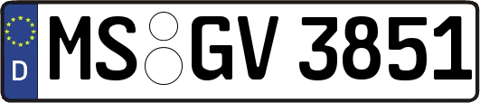 MS-GV3851