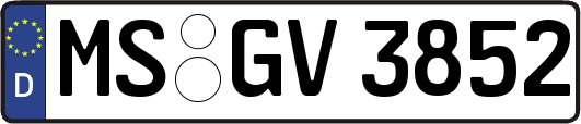 MS-GV3852