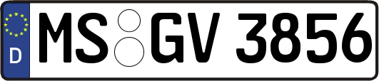 MS-GV3856