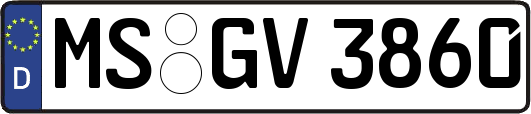 MS-GV3860