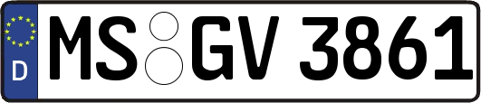 MS-GV3861