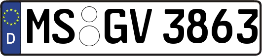 MS-GV3863