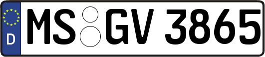 MS-GV3865