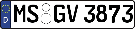 MS-GV3873