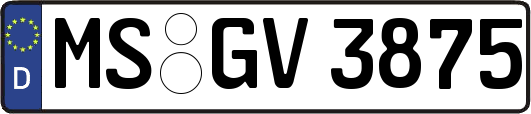MS-GV3875