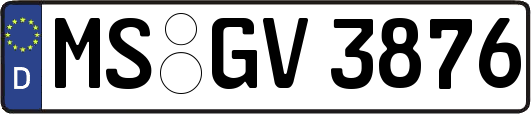 MS-GV3876