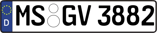 MS-GV3882