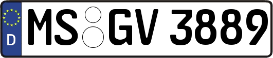 MS-GV3889