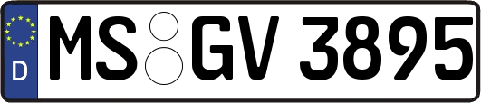 MS-GV3895