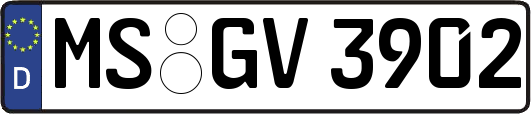MS-GV3902