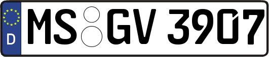 MS-GV3907