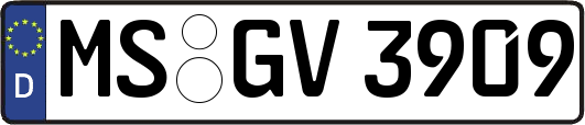 MS-GV3909