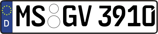 MS-GV3910