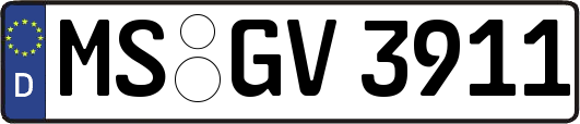 MS-GV3911