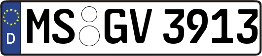 MS-GV3913