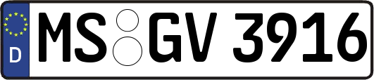MS-GV3916