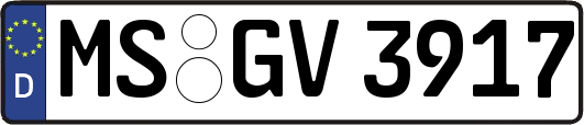 MS-GV3917