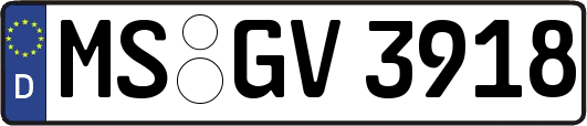MS-GV3918