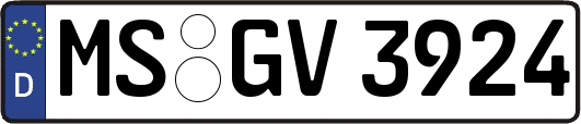 MS-GV3924