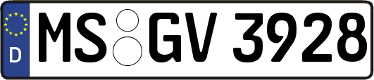 MS-GV3928