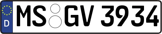 MS-GV3934