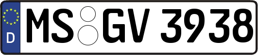 MS-GV3938