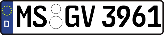 MS-GV3961