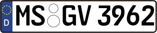 MS-GV3962
