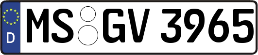 MS-GV3965