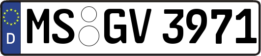 MS-GV3971