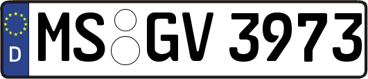 MS-GV3973